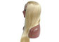 Le parrucche colorate reali dei capelli delle doppie trame delicatamente puliscono senza spargere o aggrovigliare fornitore