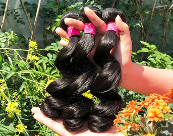 Porcellana Brown nero del tessuto malese 100% sano dei capelli umani/scuro naturale dalla ragazza fornitore